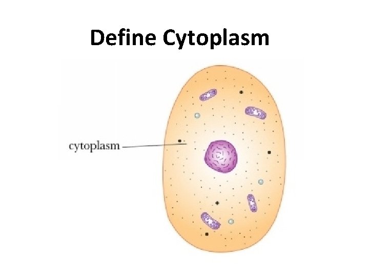 Define Cytoplasm 