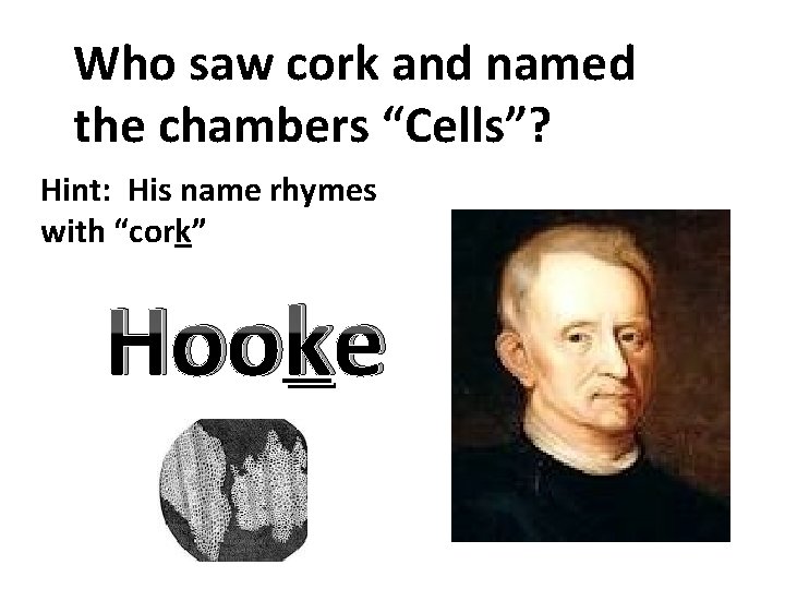 Who saw cork and named the chambers “Cells”? Hint: His name rhymes with “cork”
