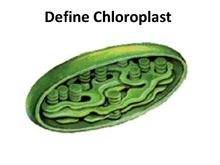 Define Chloroplast 