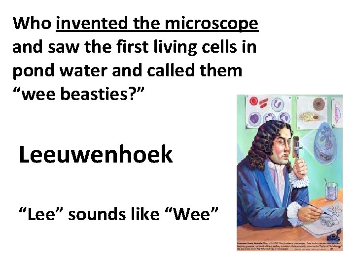 Who invented the microscope and saw the first living cells in pond water and