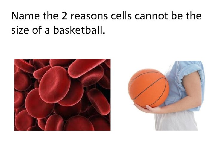 Name the 2 reasons cells cannot be the size of a basketball. 