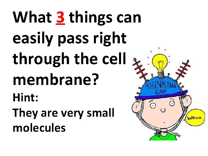 What 3 things can easily pass right through the cell membrane? Hint: They are