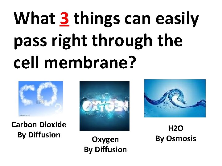 What 3 things can easily pass right through the cell membrane? Carbon Dioxide By