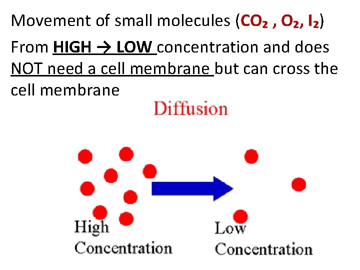 Movement of small molecules (CO₂ , O₂, I₂) From HIGH → LOW concentration and