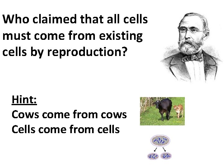 Who claimed that all cells must come from existing cells by reproduction? Hint: Cows