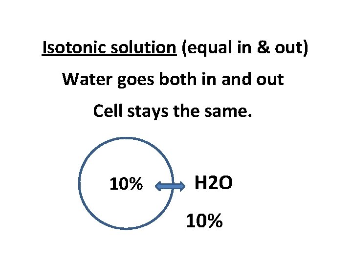 Isotonic solution (equal in & out) Water goes both in and out Cell stays