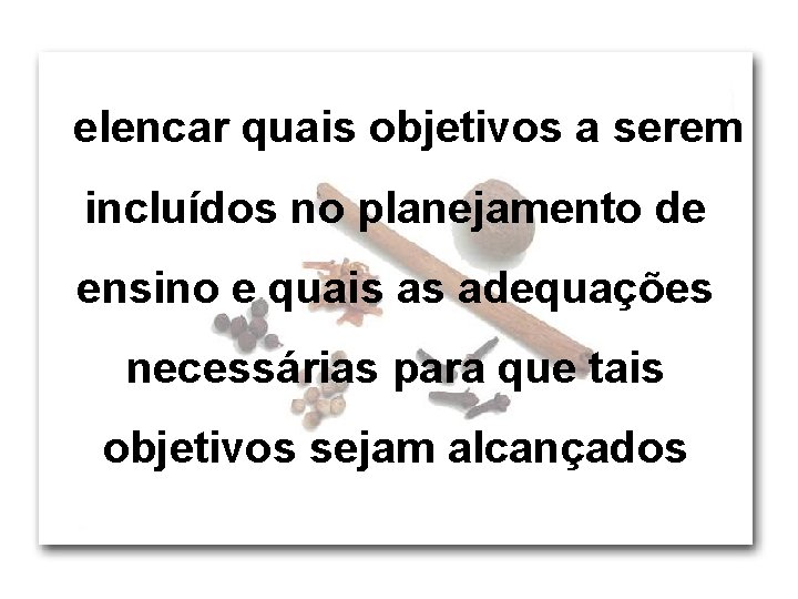 elencar quais objetivos a serem incluídos no planejamento de ensino e quais as adequações