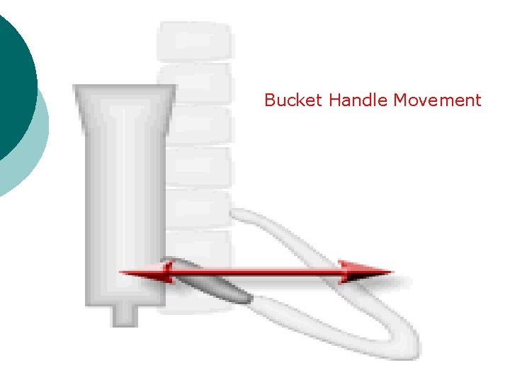 Dr Vaishali Sanjay Mandhana Asso Prof Anatomy MBBS