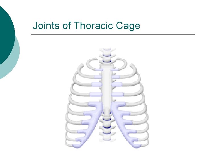 Joints of Thoracic Cage 