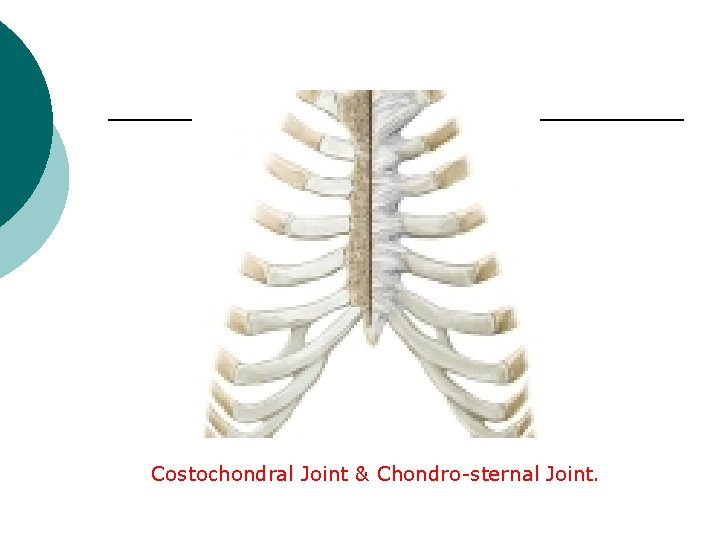Costochondral Joint & Chondro-sternal Joint. 