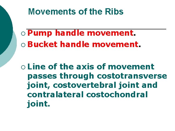 Movements of the Ribs ¡ Pump handle movement. ¡ Bucket handle movement. ¡ Line