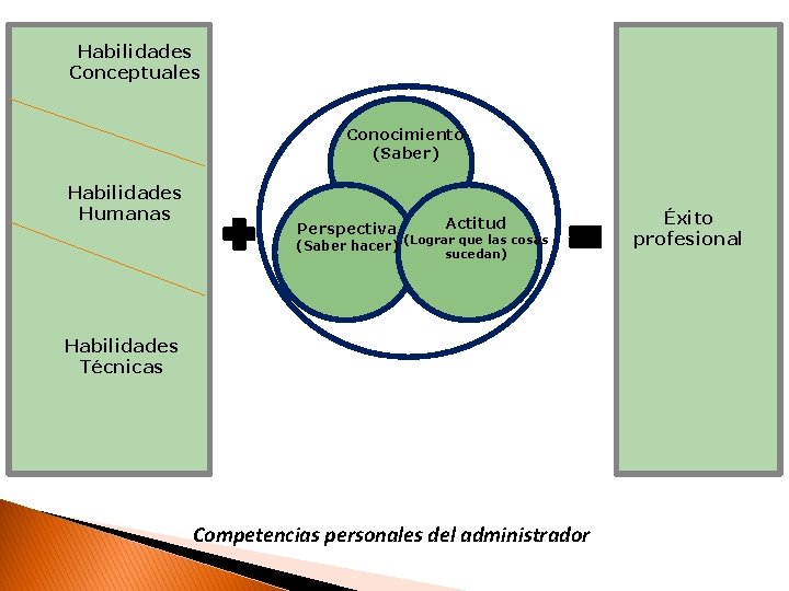 Habilidades Conceptuales Conocimiento (Saber) Habilidades Humanas Perspectiva (Saber hacer) Actitud (Lograr que las cosas