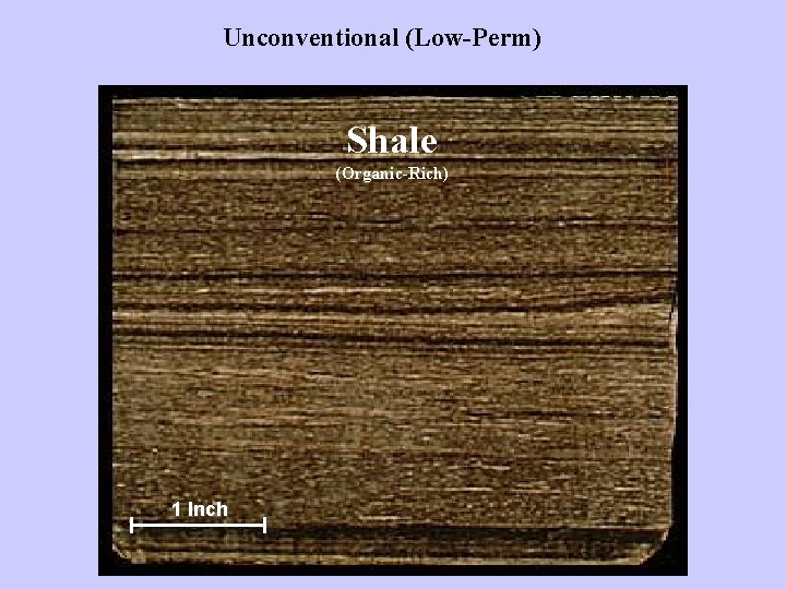 Unconventional (Low-Perm) Shale (Organic-Rich) 1 Inch 
