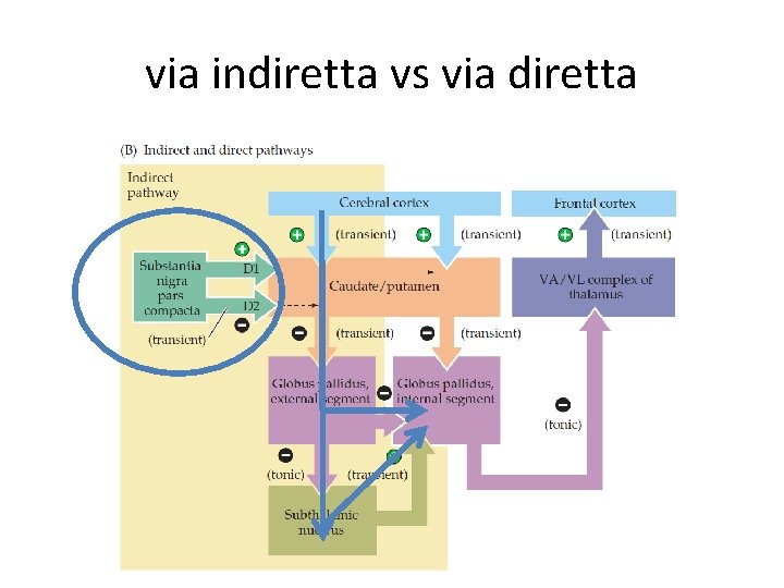 via indiretta vs via diretta 