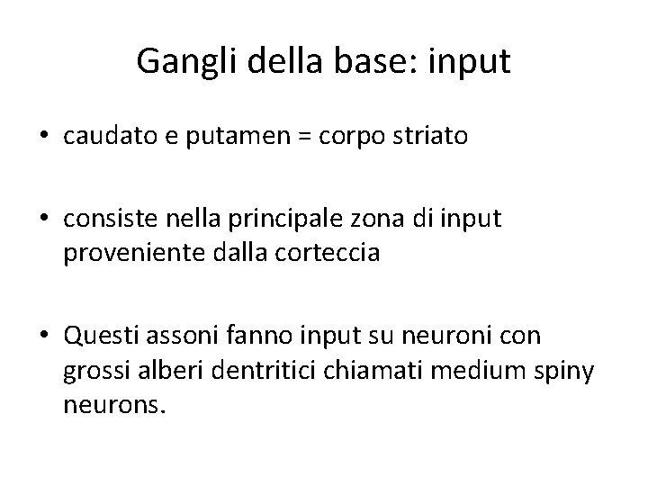 Gangli della base: input • caudato e putamen = corpo striato • consiste nella Gangli della base: input • caudato e putamen = corpo striato • consiste nella