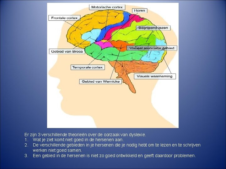 Er zijn 3 verschillende theorieën over de oorzaak van dyslexie. 1. Wat je ziet