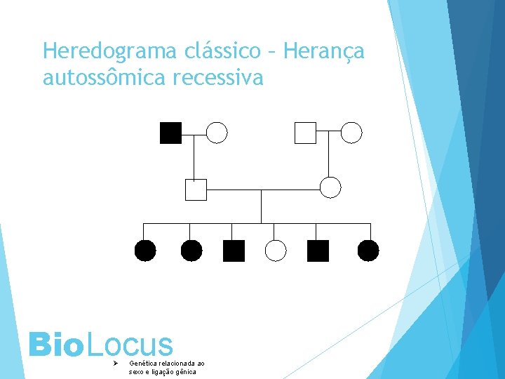 Heredograma clássico – Herança autossômica recessiva Bio. Locus Ø Genética relacionada ao sexo e