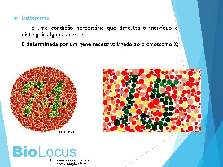  Daltonismo É uma condição hereditária que dificulta o indivíduo a distinguir algumas cores;