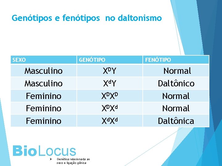 Genótipos e fenótipos no daltonismo SEXO GENÓTIPO Masculino Feminino Bio. Locus Ø Genética relacionada