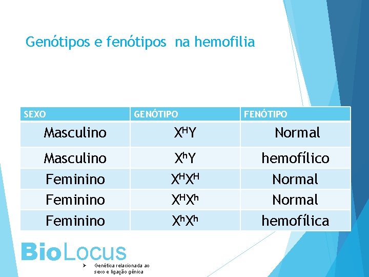 Genótipos e fenótipos na hemofilia SEXO GENÓTIPO FENÓTIPO Masculino X HY Normal Masculino Feminino