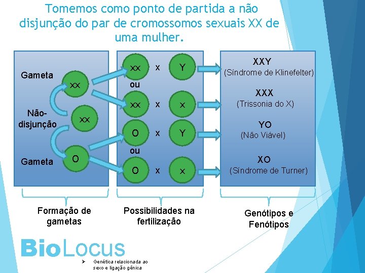 Tomemos como ponto de partida a não disjunção do par de cromossomos sexuais XX