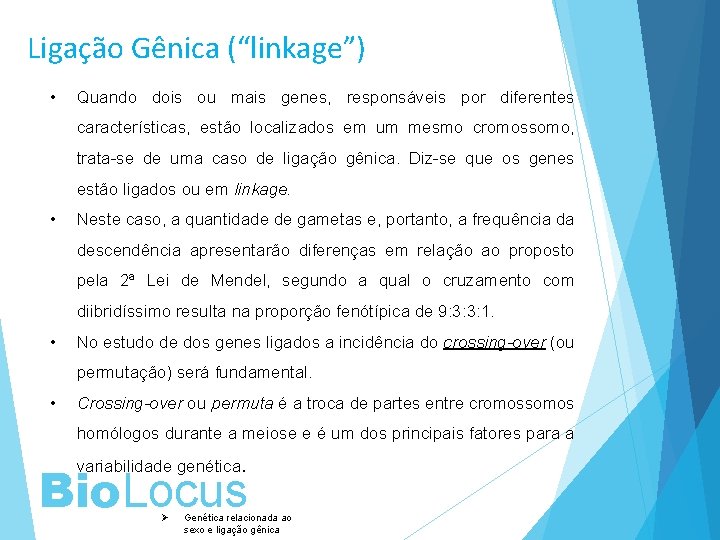 Ligação Gênica (“linkage”) • Quando dois ou mais genes, responsáveis por diferentes características, estão