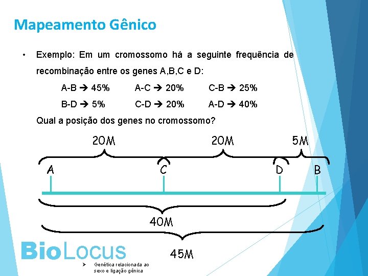 Mapeamento Gênico • Exemplo: Em um cromossomo há a seguinte frequência de recombinação entre