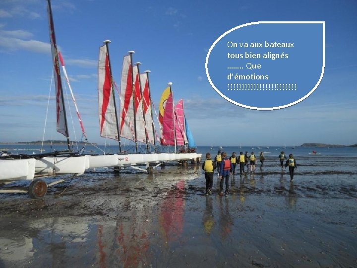  On va aux bateaux tous bien alignés ……. . Que d’émotions !!!!!!!!!!!! 