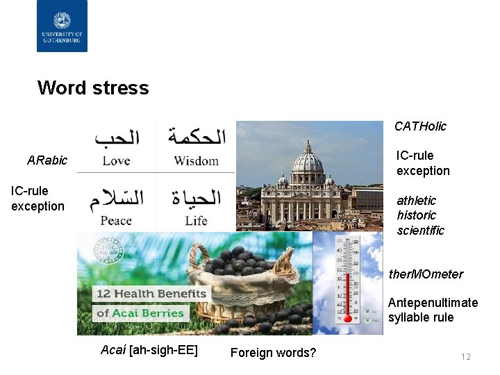 Word stress CATHolic IC-rule exception ARabic IC-rule exception athletic historic scientific ther. MOmeter Antepenultimate