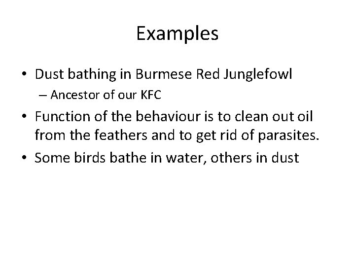 Examples • Dust bathing in Burmese Red Junglefowl – Ancestor of our KFC •