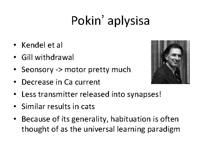 Pokin’ aplysisa • • Kendel et al Gill withdrawal Seonsory -> motor pretty much