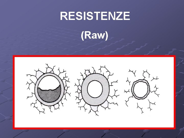RESISTENZE (Raw) 