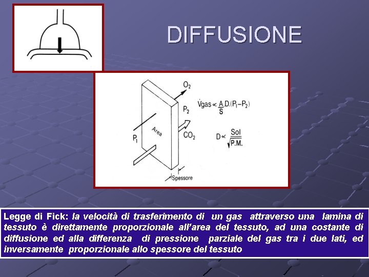 DIFFUSIONE Legge di Fick: la velocità di trasferimento di un gas attraverso una lamina