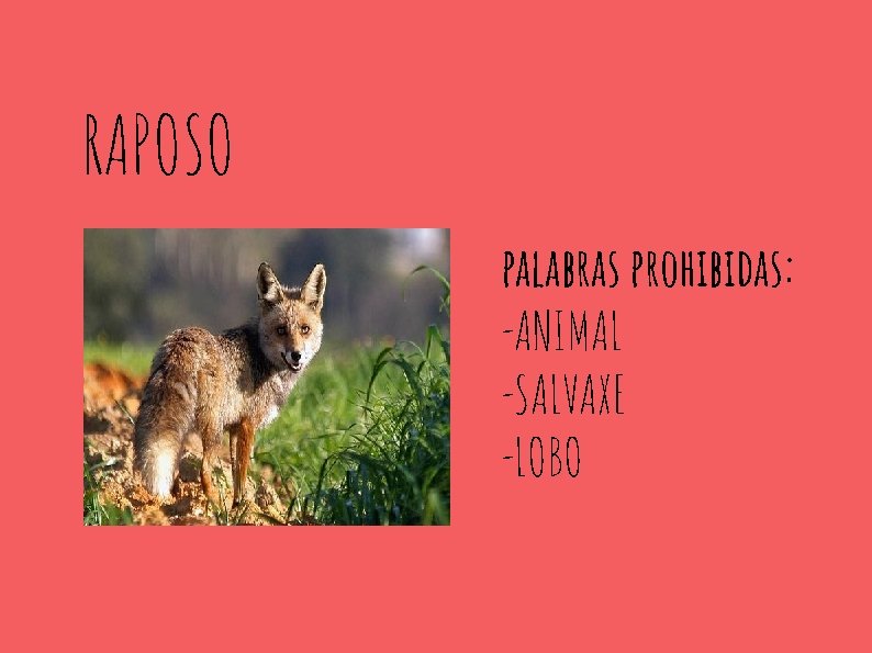 RAPOSO palabras prohibidas: -ANIMAL -SALVAXE -LOBO 