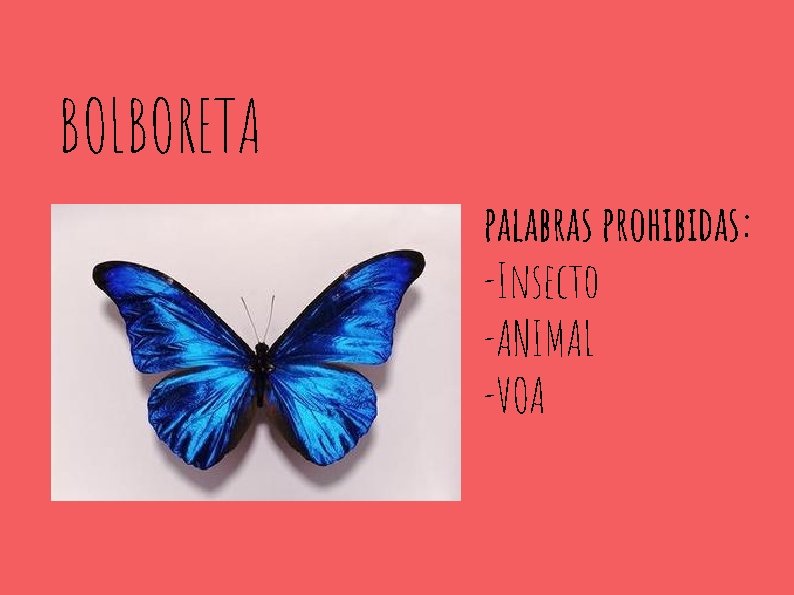 BOLBORETA palabras prohibidas: -Insecto -ANIMAL -VOA 