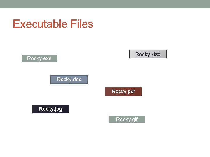 Executable Files Rocky. xlsx Rocky. exe Rocky. doc Rocky. pdf Rocky. jpg Rocky. gif