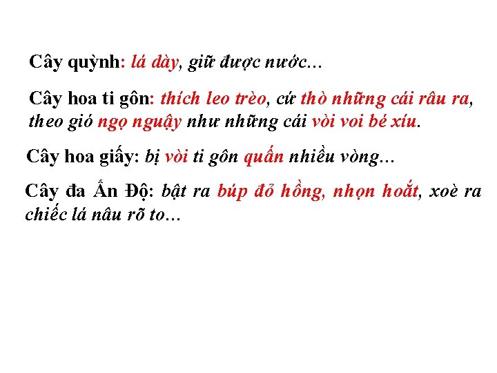 Cây quỳnh: lá dày, giữ được nước… Cây hoa ti gôn: thích leo trèo,