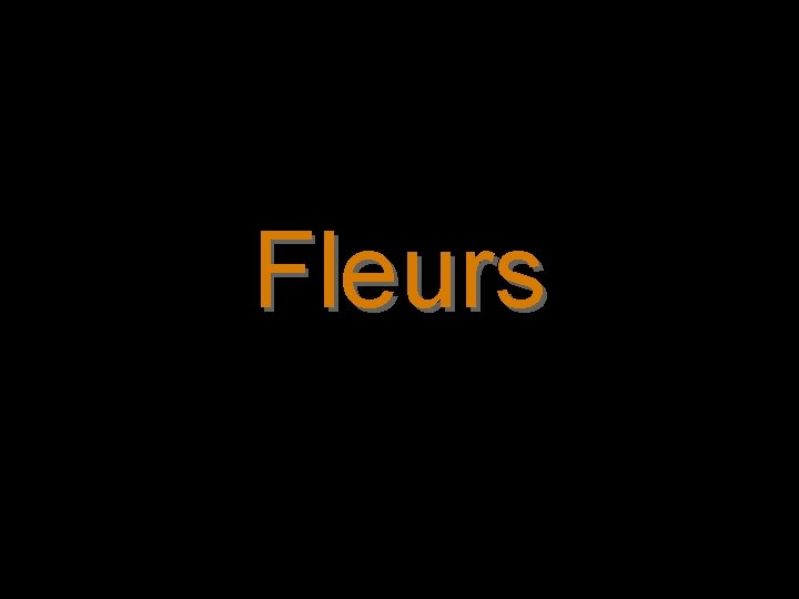 Fleurs 