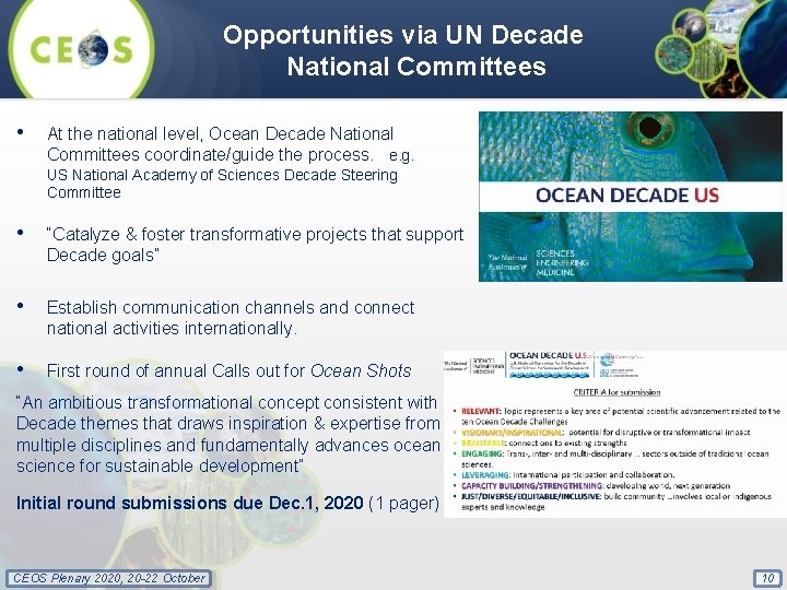 Opportunities via UN Decade National Committees • At the national level, Ocean Decade National