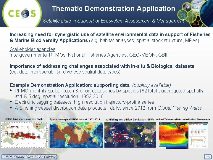 Thematic Demonstration Application Satellite Data in Support of Ecosystem Assessment & Management Increasing need