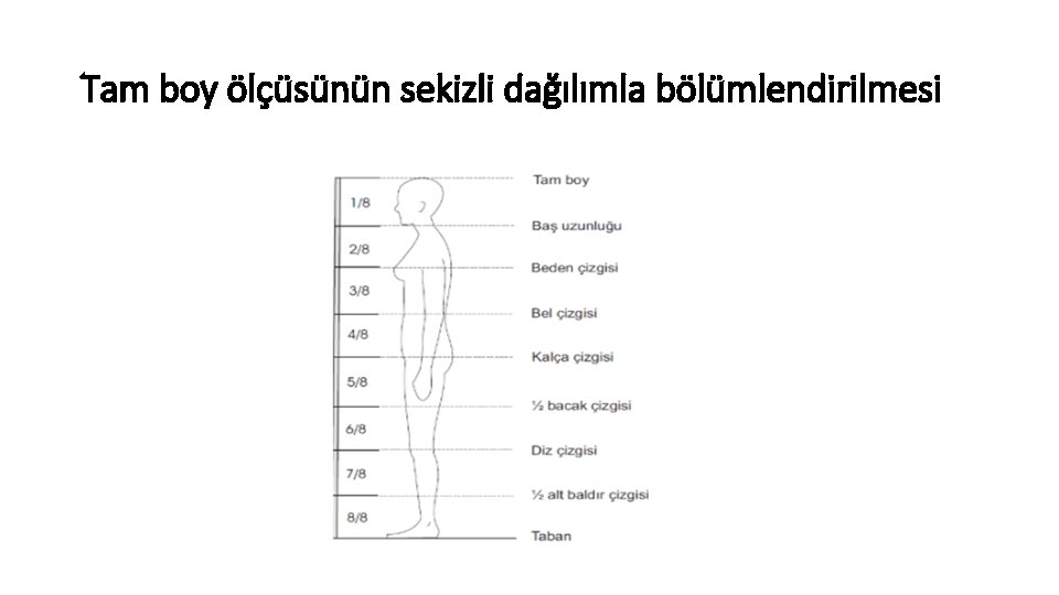 Tam boy ölçüsünün sekizli dağılımla bölümlendirilmesi 