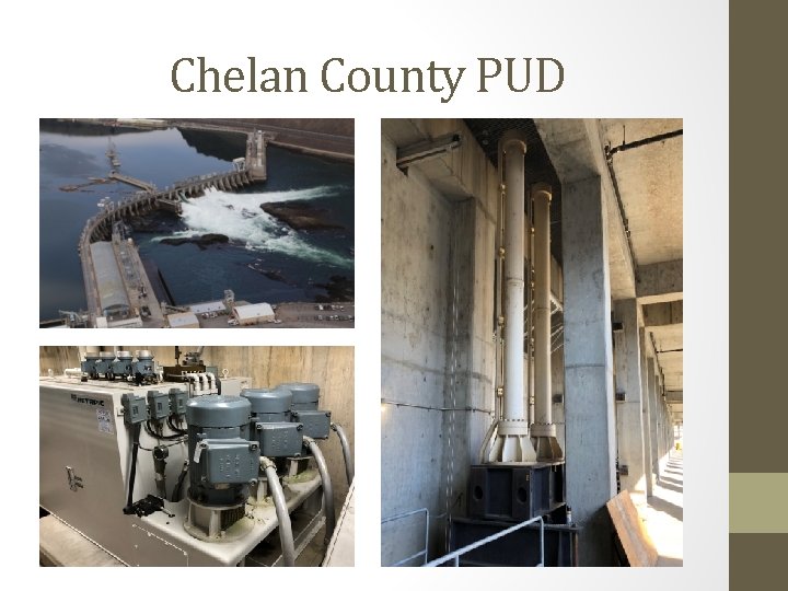 Chelan County PUD 