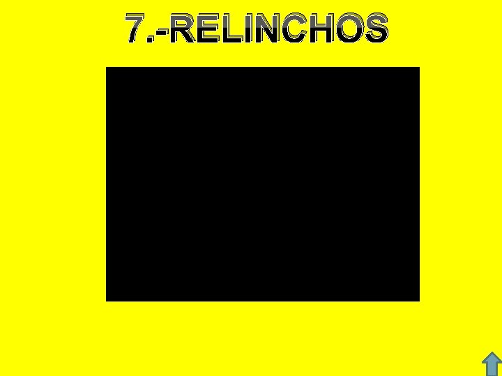 7. -RELINCHOS 