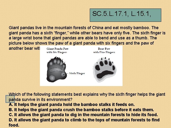 SC. 5. L. 17. 1, L. 15. 1, Giant pandas live in the mountain