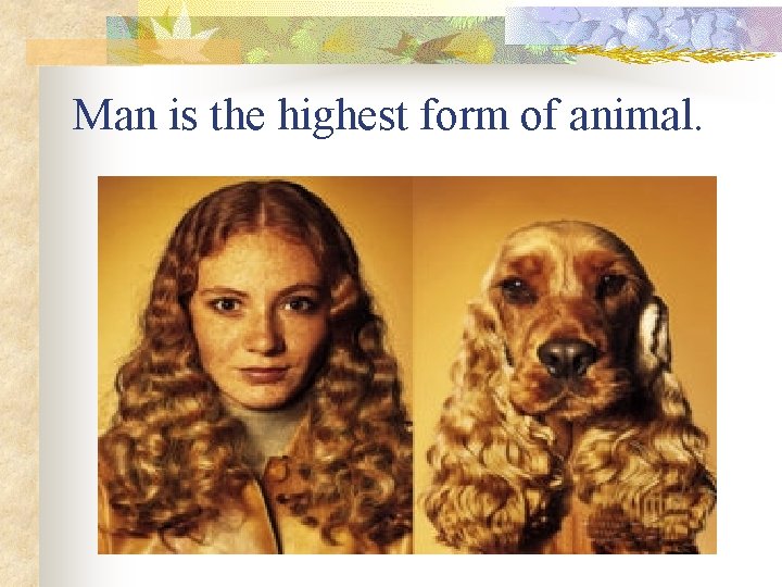 Man is the highest form of animal. 