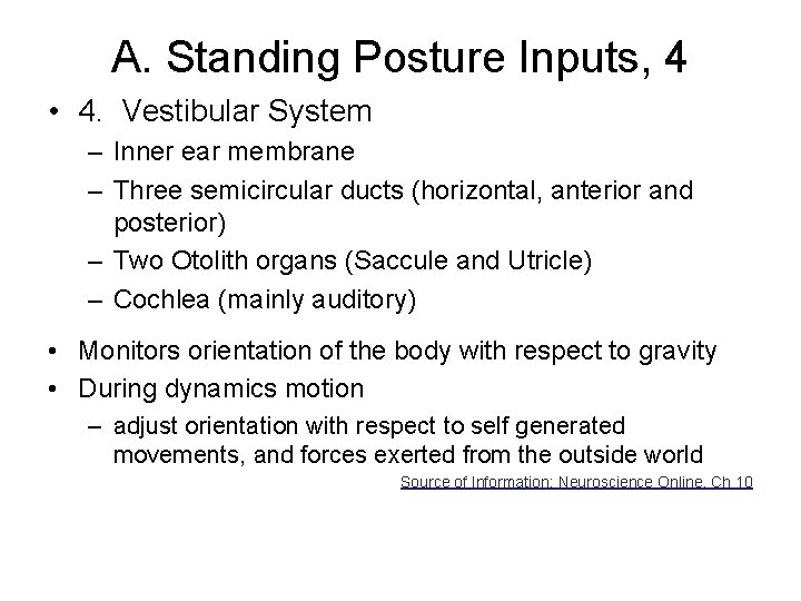 A. Standing Posture Inputs, 4 • 4. Vestibular System – Inner ear membrane –