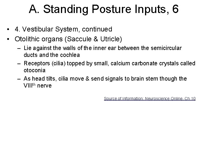A. Standing Posture Inputs, 6 • 4. Vestibular System, continued • Otolithic organs (Saccule