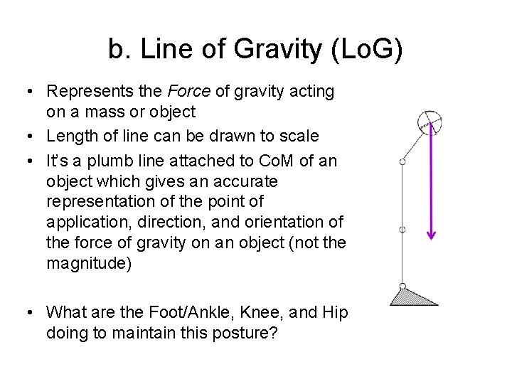 b. Line of Gravity (Lo. G) • Represents the Force of gravity acting on