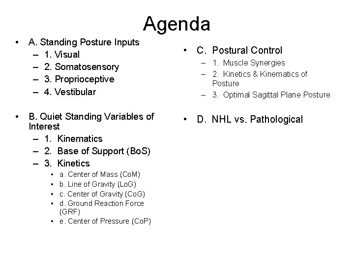 Agenda • • A. Standing Posture Inputs – 1. Visual – 2. Somatosensory –