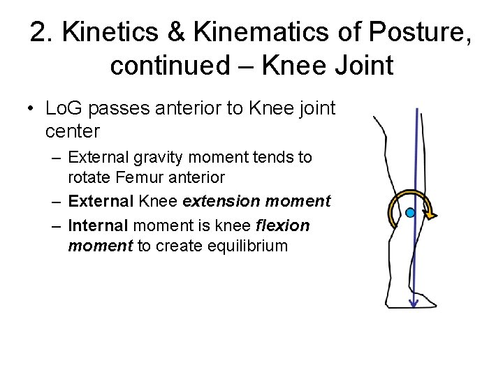 2. Kinetics & Kinematics of Posture, continued – Knee Joint • Lo. G passes